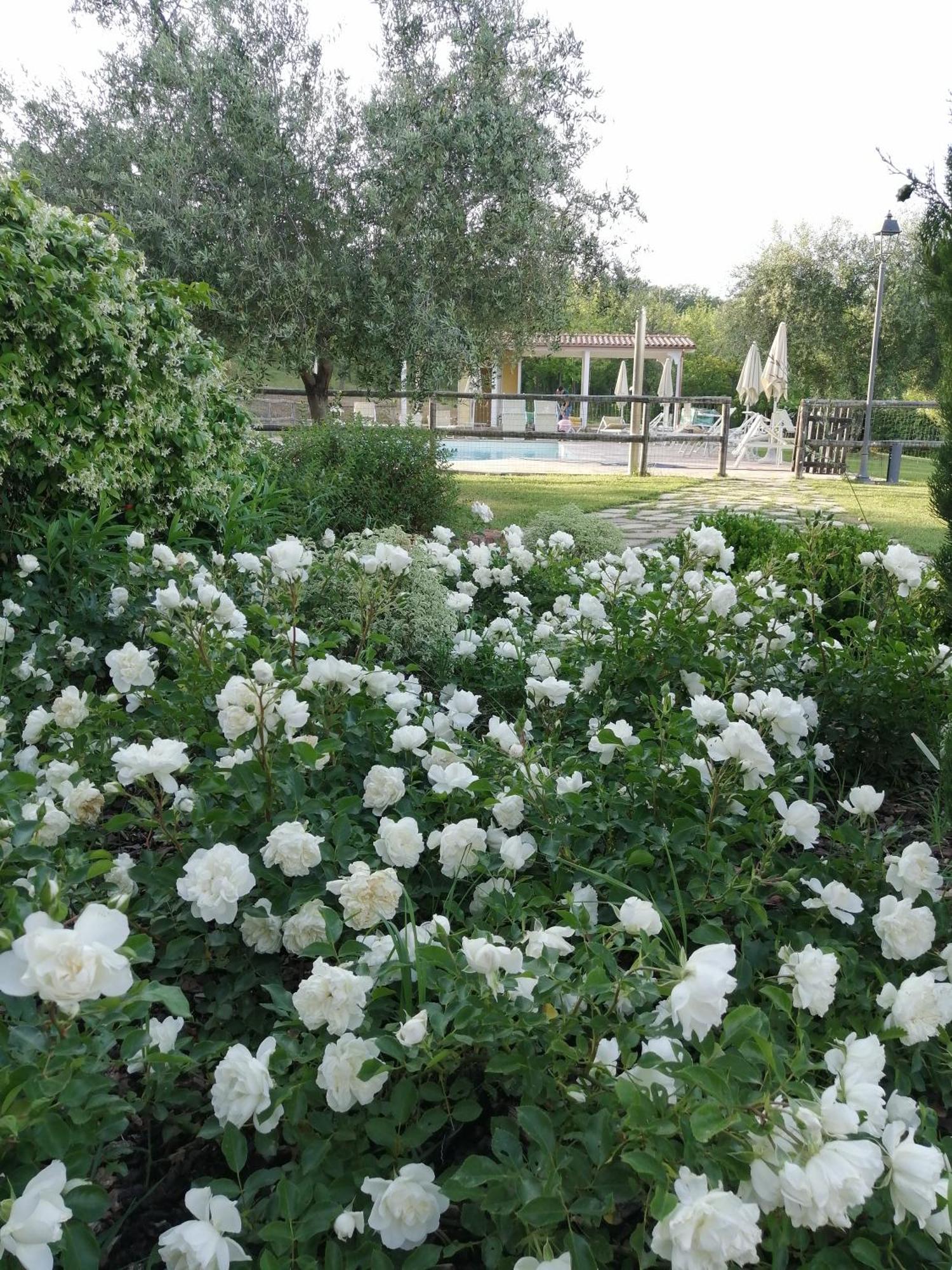 Agriturismo Villa Beatrice Mondavio Zewnętrze zdjęcie